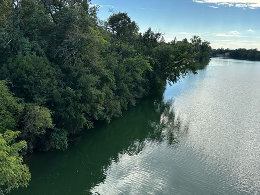 Terrain MARSSAC SUR TARN 125000€ CABINET PORTES IMMOBILIER Terrain MARSSAC SUR TARN 125000€ CABINET PORTES IMMOBILIER